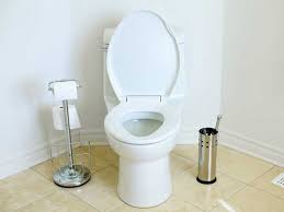 از بین بردن بوی بد چاه فاضلاب توالت و حمام
